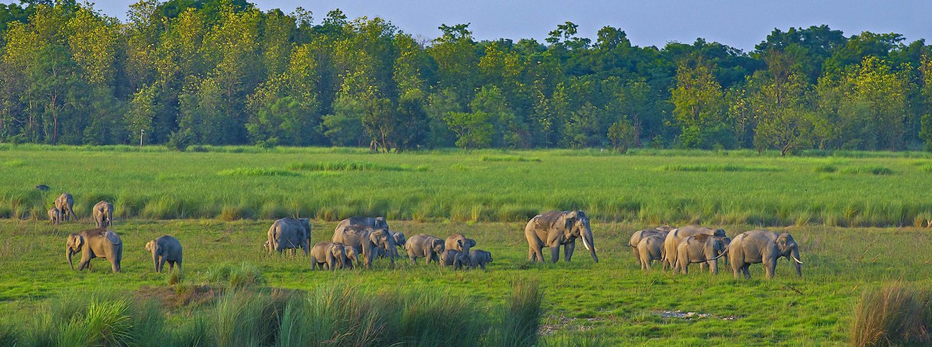 Dudhwa National Park